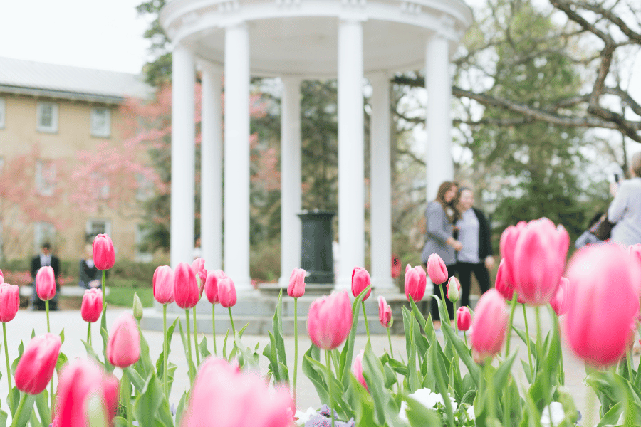 The old well with beautiful pink flowers at UNC Chapel Hill 