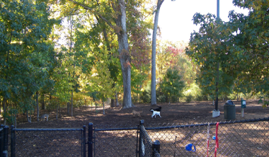 Godbold Cary NC Dog Park with pets playing