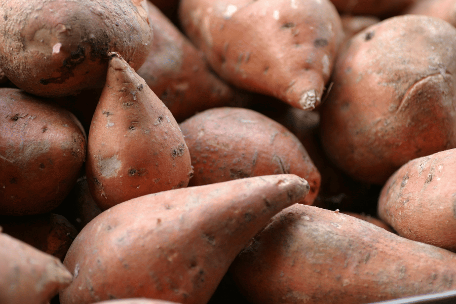 pile of yams at the Ham and Yam Festival in Smithfield, NC