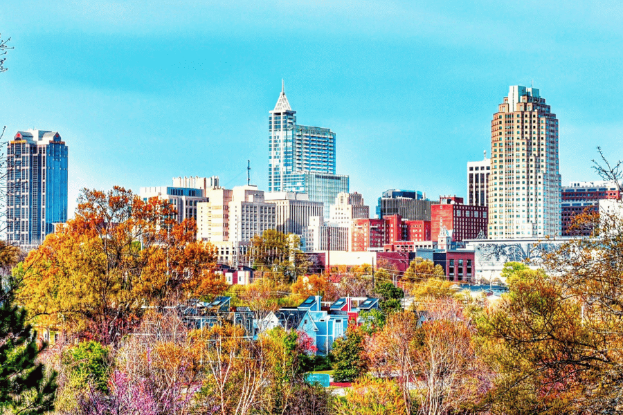 Downtown Raleigh NC Overview with fall leaves and buildings