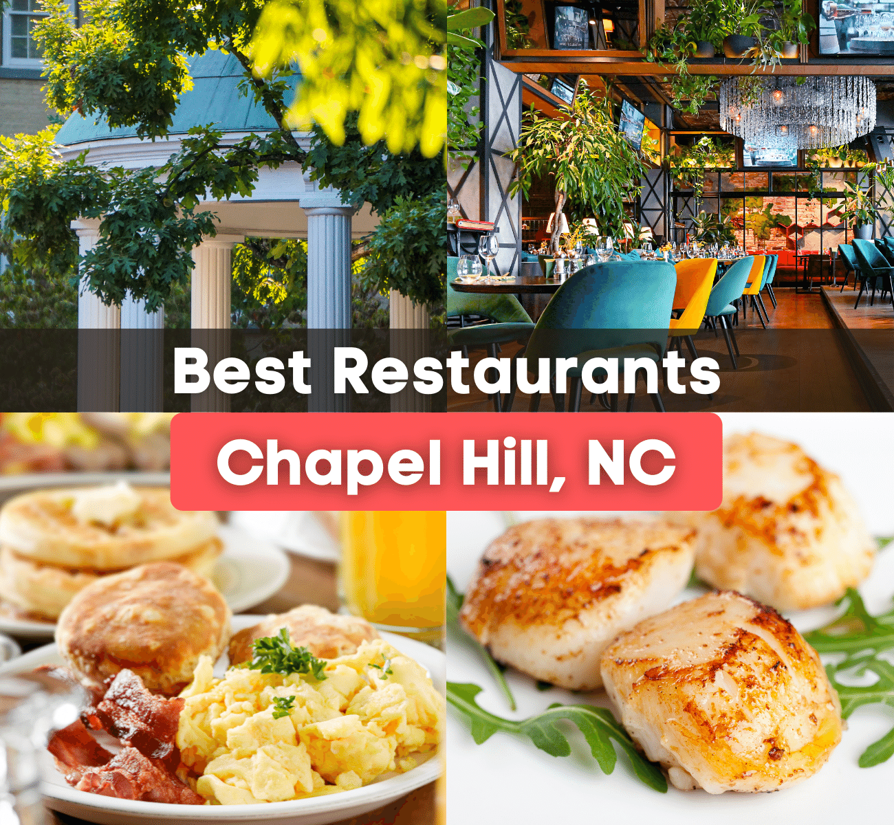 The Old Well at UNC, a colorful restaurant, chicken and waffles, and scallops