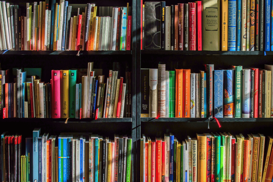 colorful books of all genres on a wood bookshelf in a bookstore