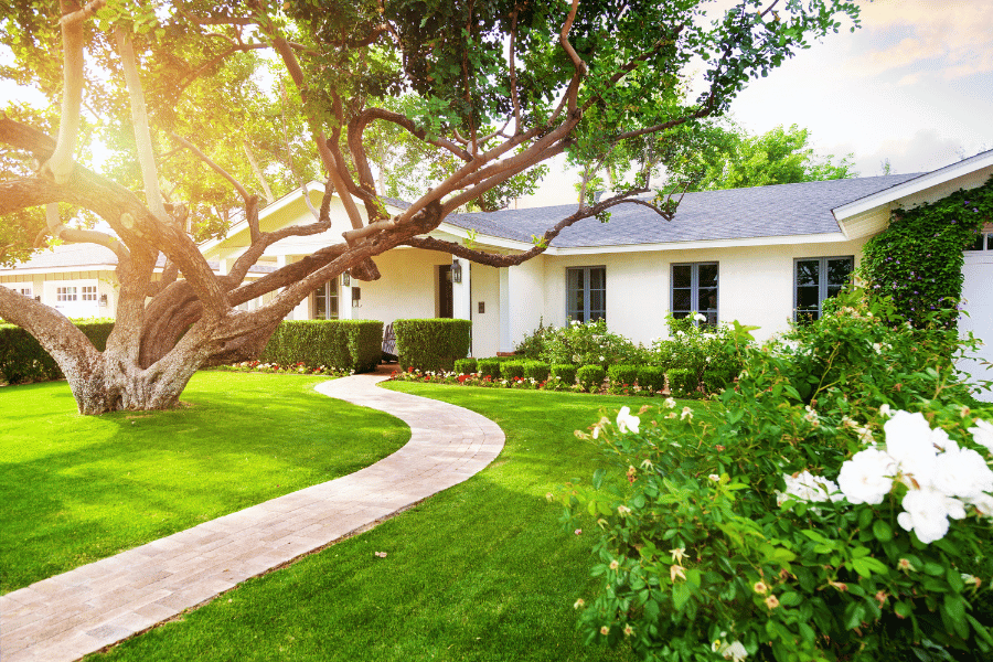 beautiful home in suburban neighborhood with lush greenery and large tree